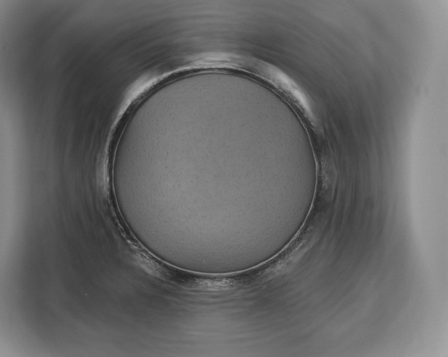 X0000113051328200909171533