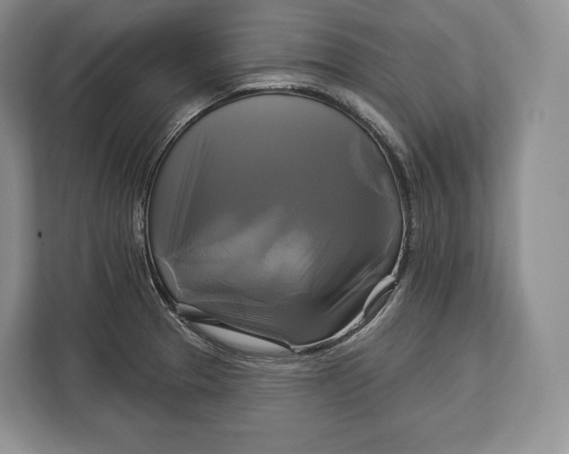 X0000113051329200909171533