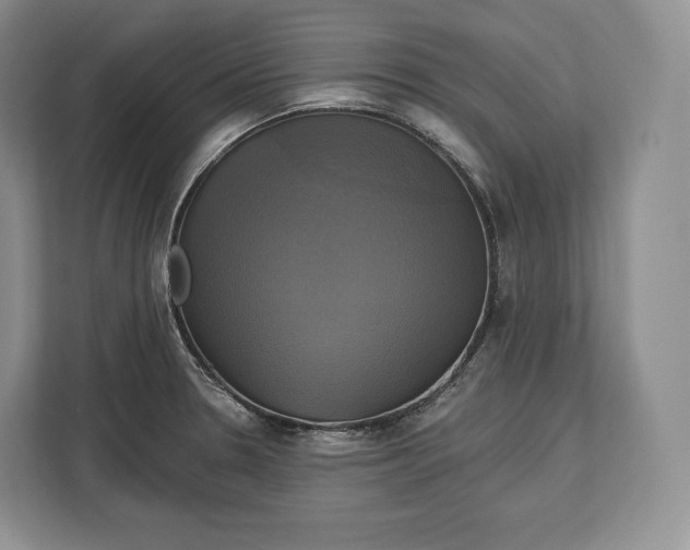 X0000113051330200909171533