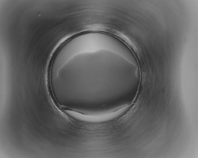 X0000113051331200909171533