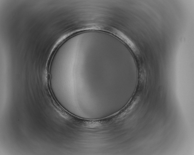 X0000113051332200909171533