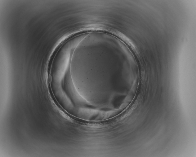 X0000113051334200909171533