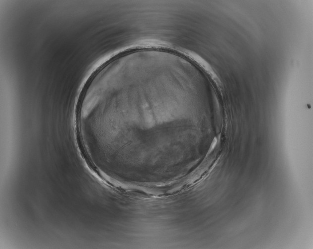 X0000113051335200909171533