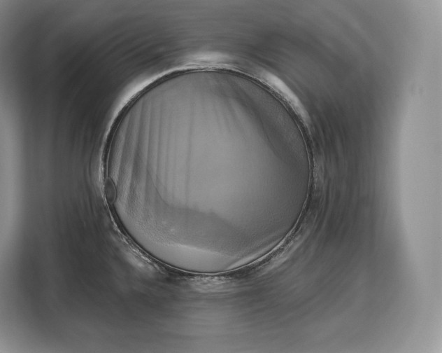 X0000113051336200909171533