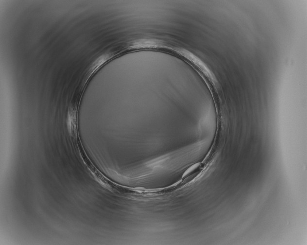 X0000113051337200909171533