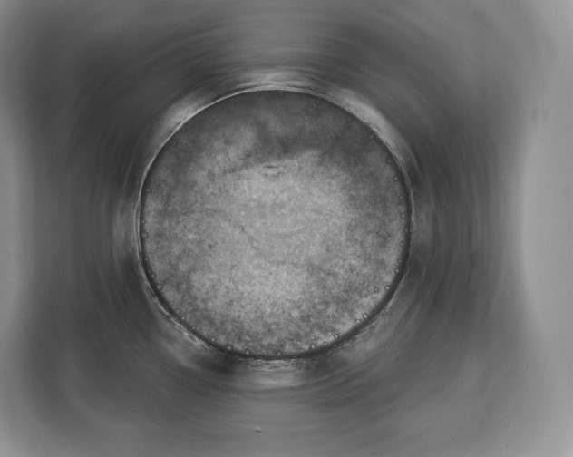 X0000113051338200909171533