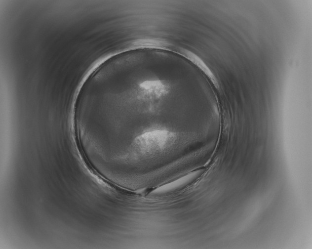 X0000113051339200909171533