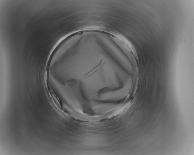 X0000113051340200909171533