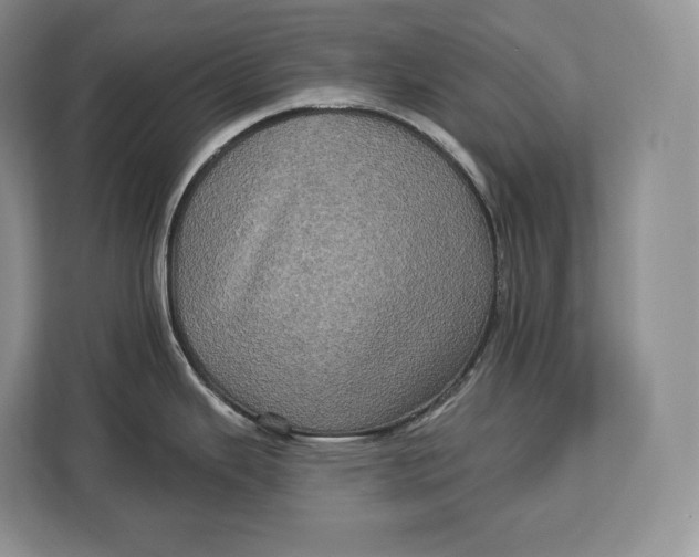 X0000113051343200909171533