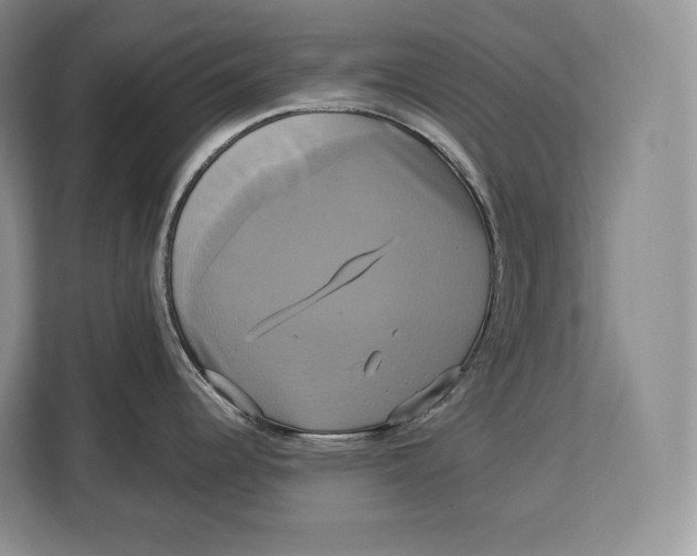 X0000113051344200909171533