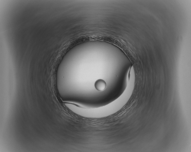 X0000113051345200909171533