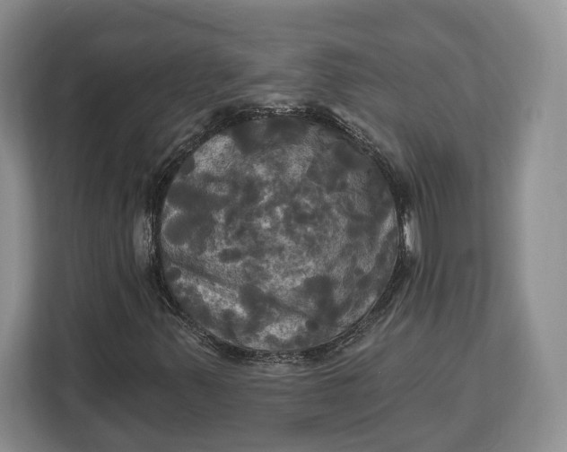 X0000113051347200909171533