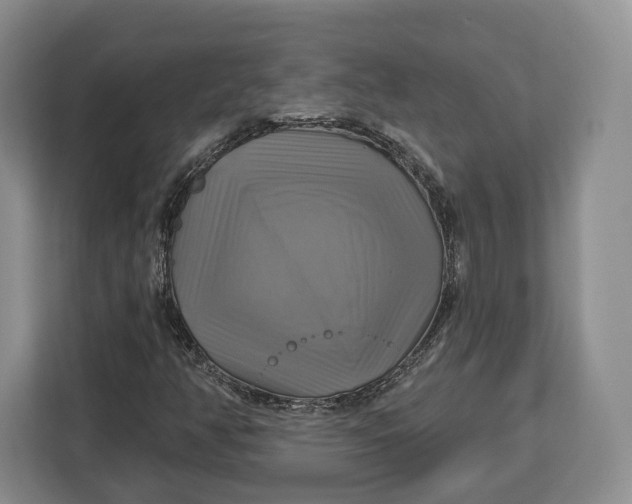 X0000113051350200909171533