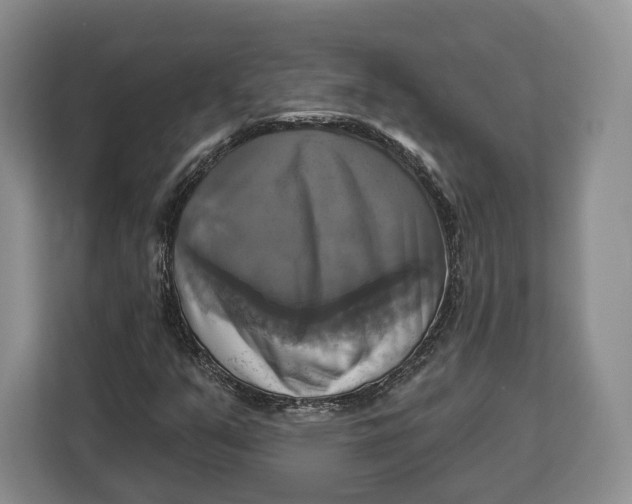 X0000113051351200909171533