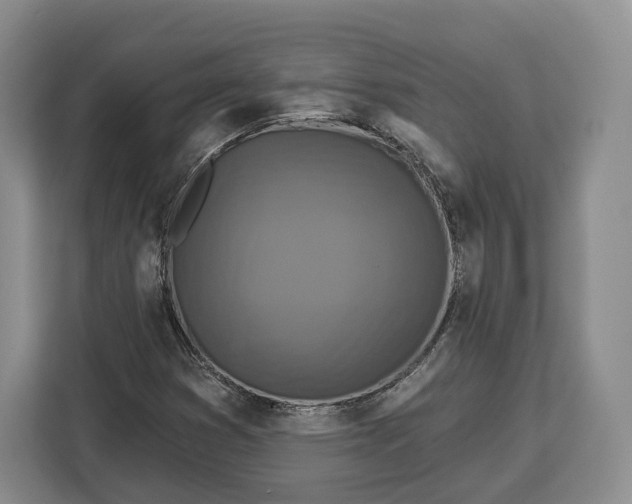 X0000113051353200909171533