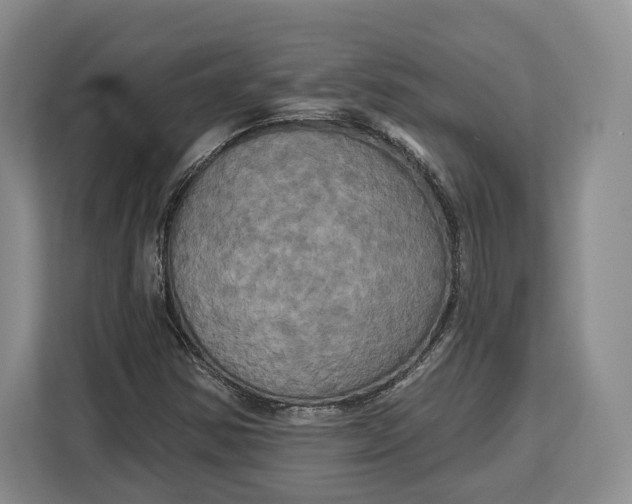 X0000113051354200909171533