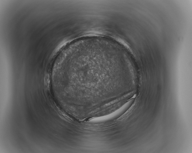 X0000113051355200909171533