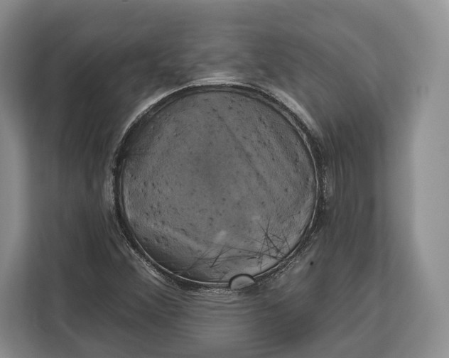 X0000113051356200909171533