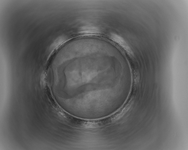 X0000113051357200909171533