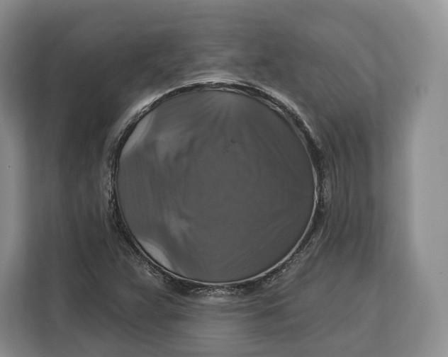 X0000113051359200909171533