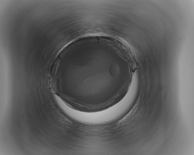 X0000113051361200909171533