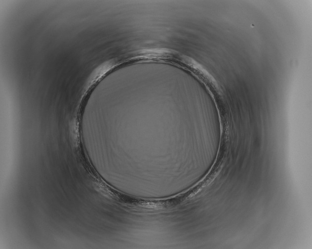 X0000113051362200909171533