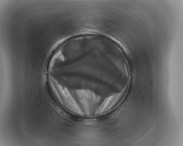 X0000113051363200909171532