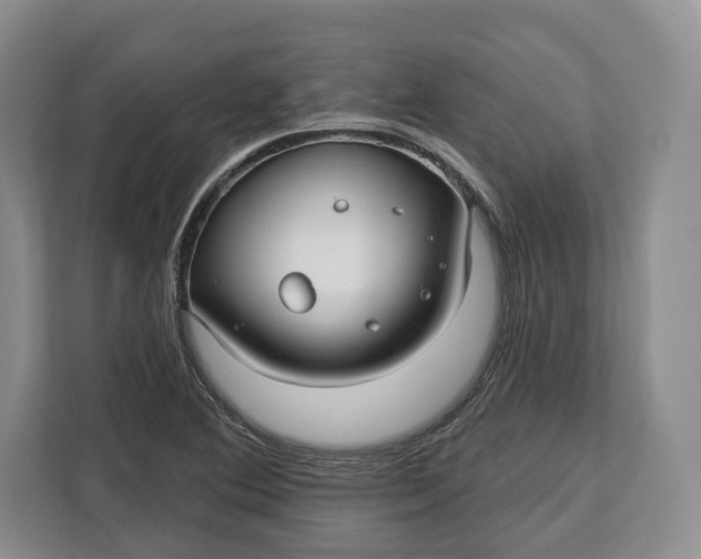 X0000113051364200909171532