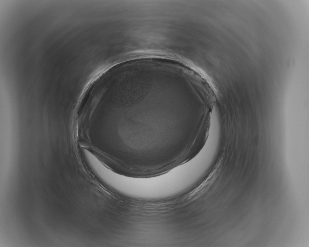 X0000113051365200909171532