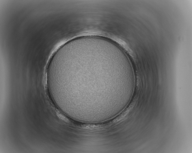 X0000113051366200909171532