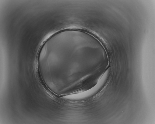 X0000113051367200909171532