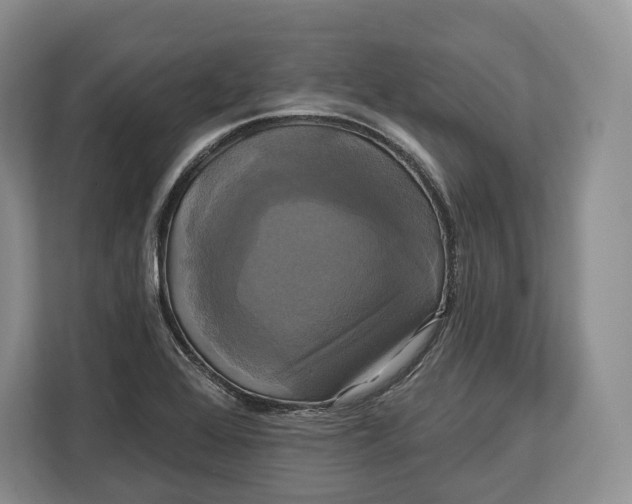 X0000113051368200909171532