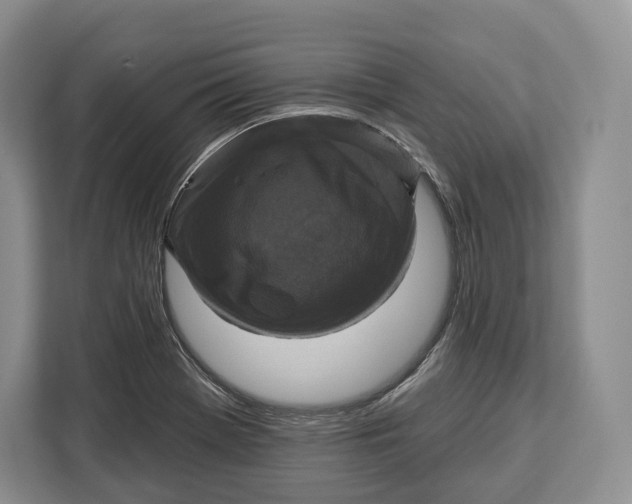 X0000113051369200909171532