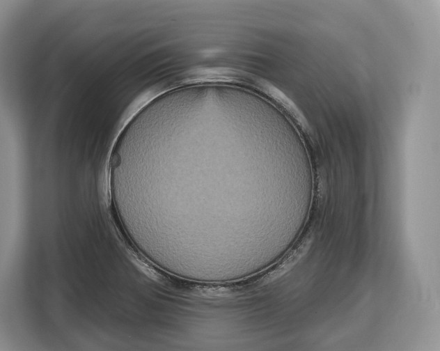 X0000113051370200909171532