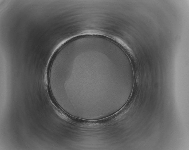 X0000113051372200909171532