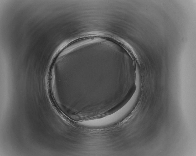 X0000113051373200909171532