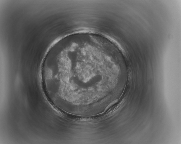 X0000113051375200909171532