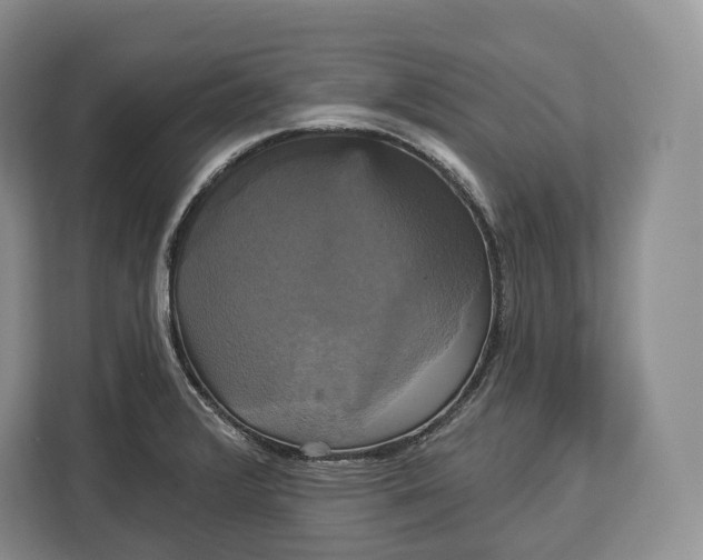 X0000113051376200909171532