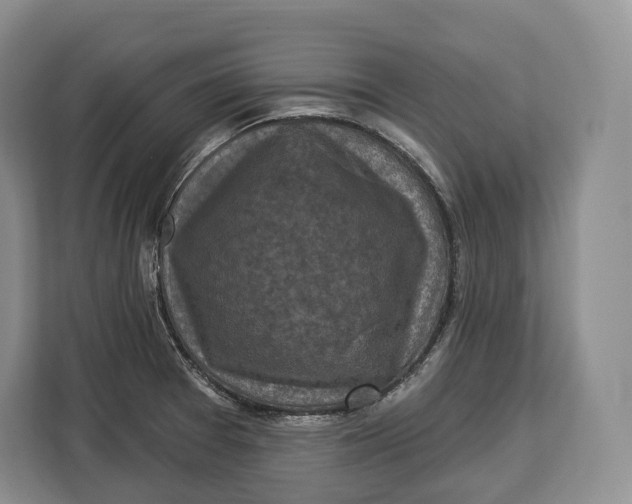 X0000113051377200909171532