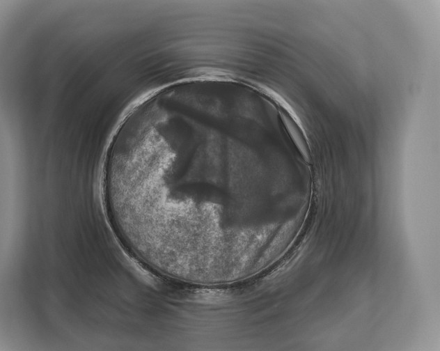 X0000113051379200909171532