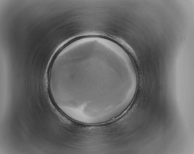 X0000113051380200909171532