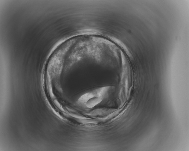 X0000113051383200909171532