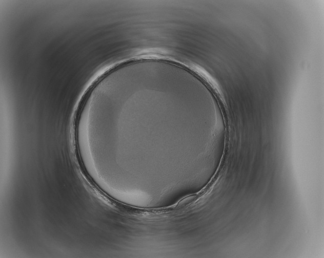 X0000113051384200909171532