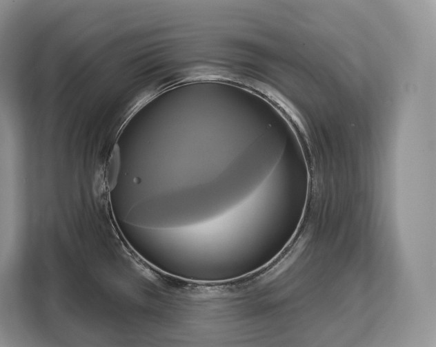 X0000113051385200909171532