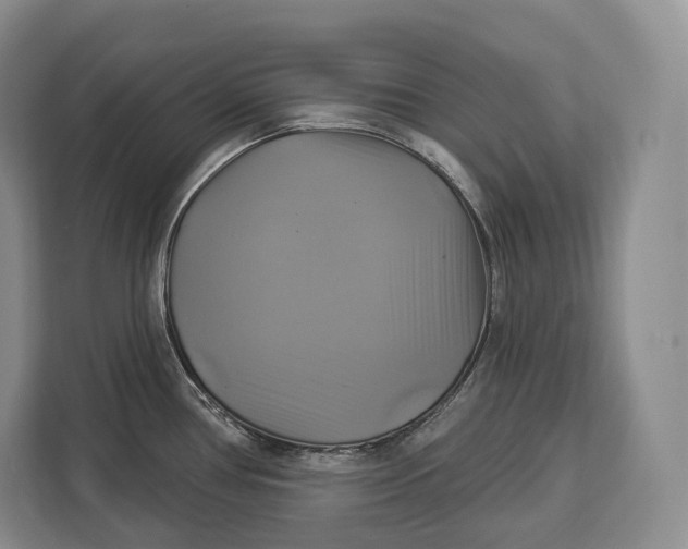 X0000113051386200909171532