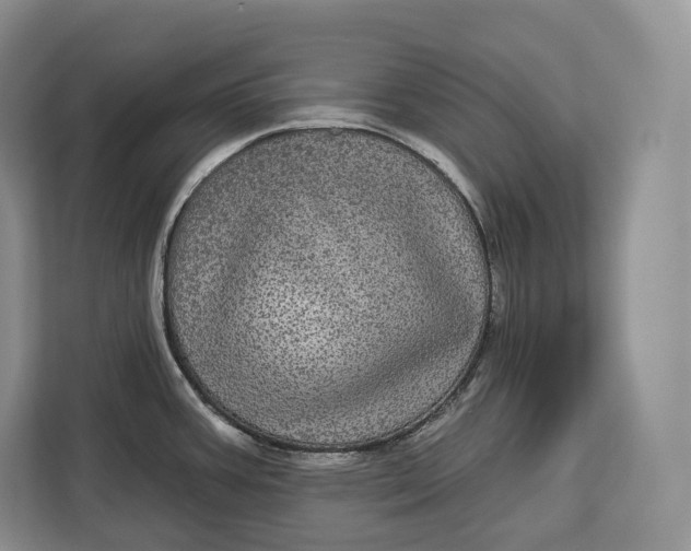 X0000113051387200909171532