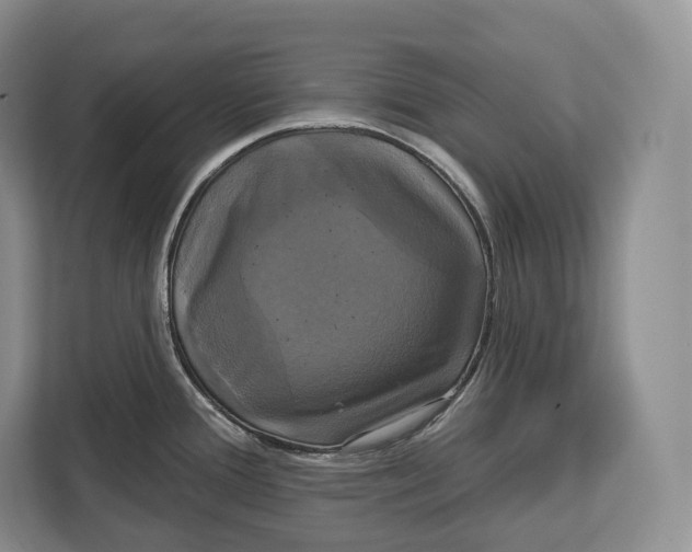 X0000113051388200909171532