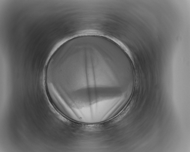 X0000113051390200909171532