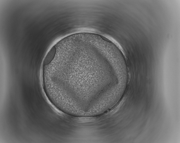 X0000113051391200909171532