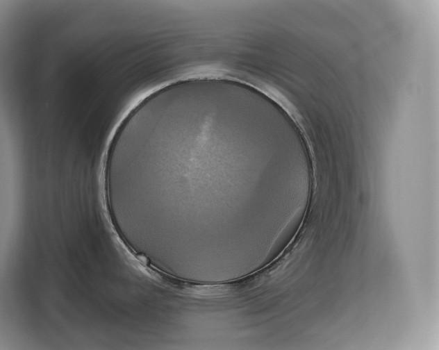 X0000113051392200909171532